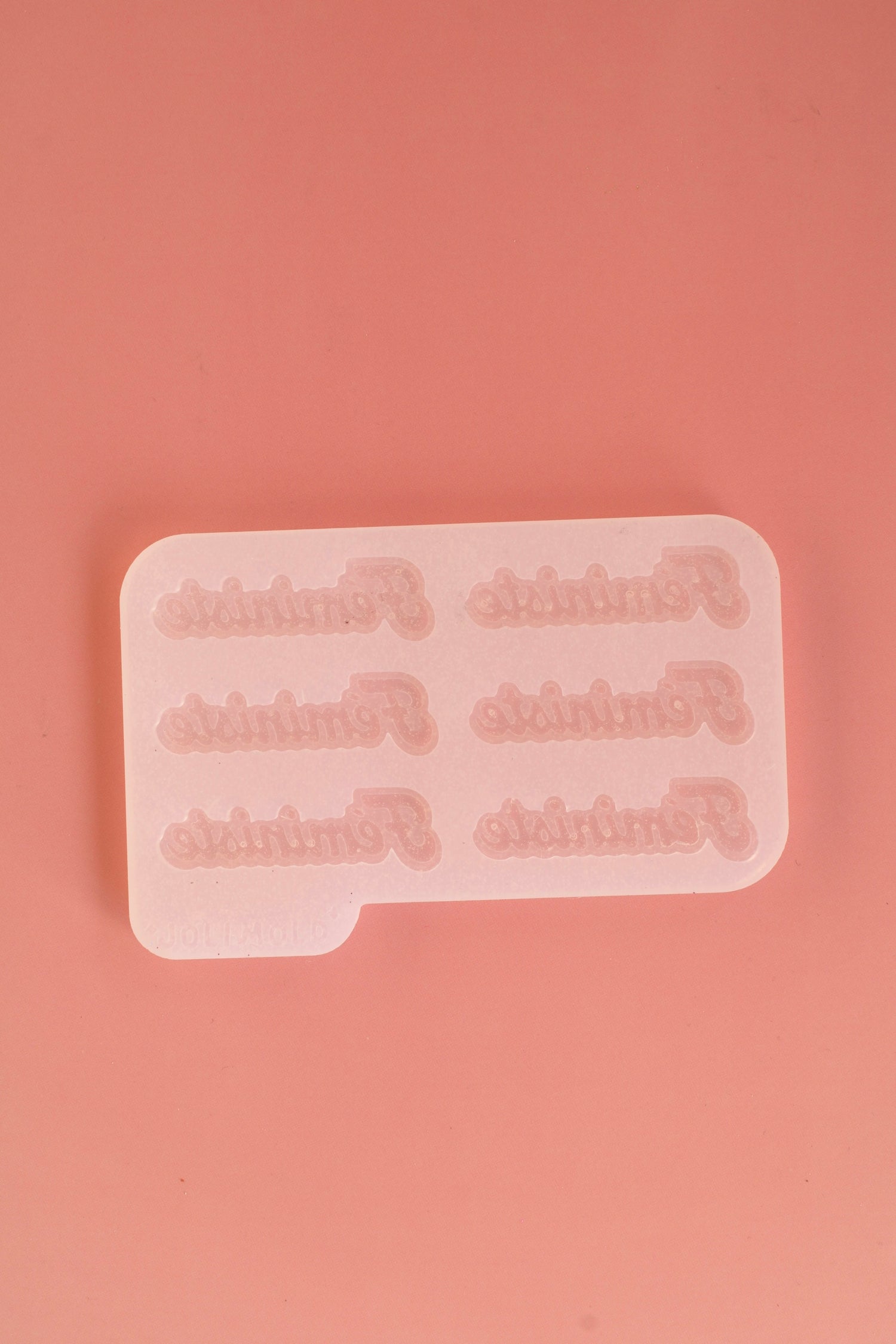 Moule silicone broche FÉMINISTE français - 6 broches