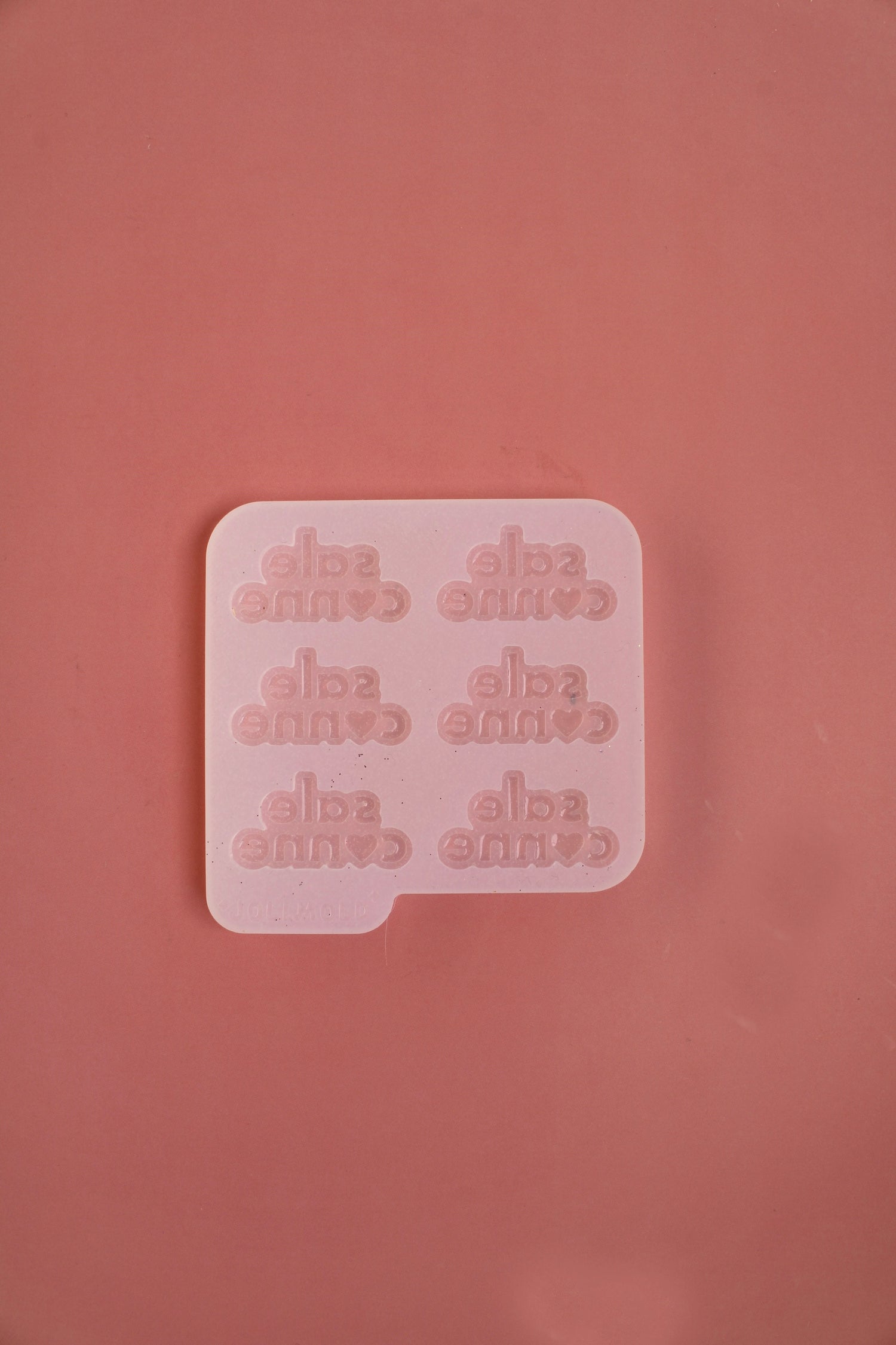 Moule silicone broche SALE CONNE - 6 broches