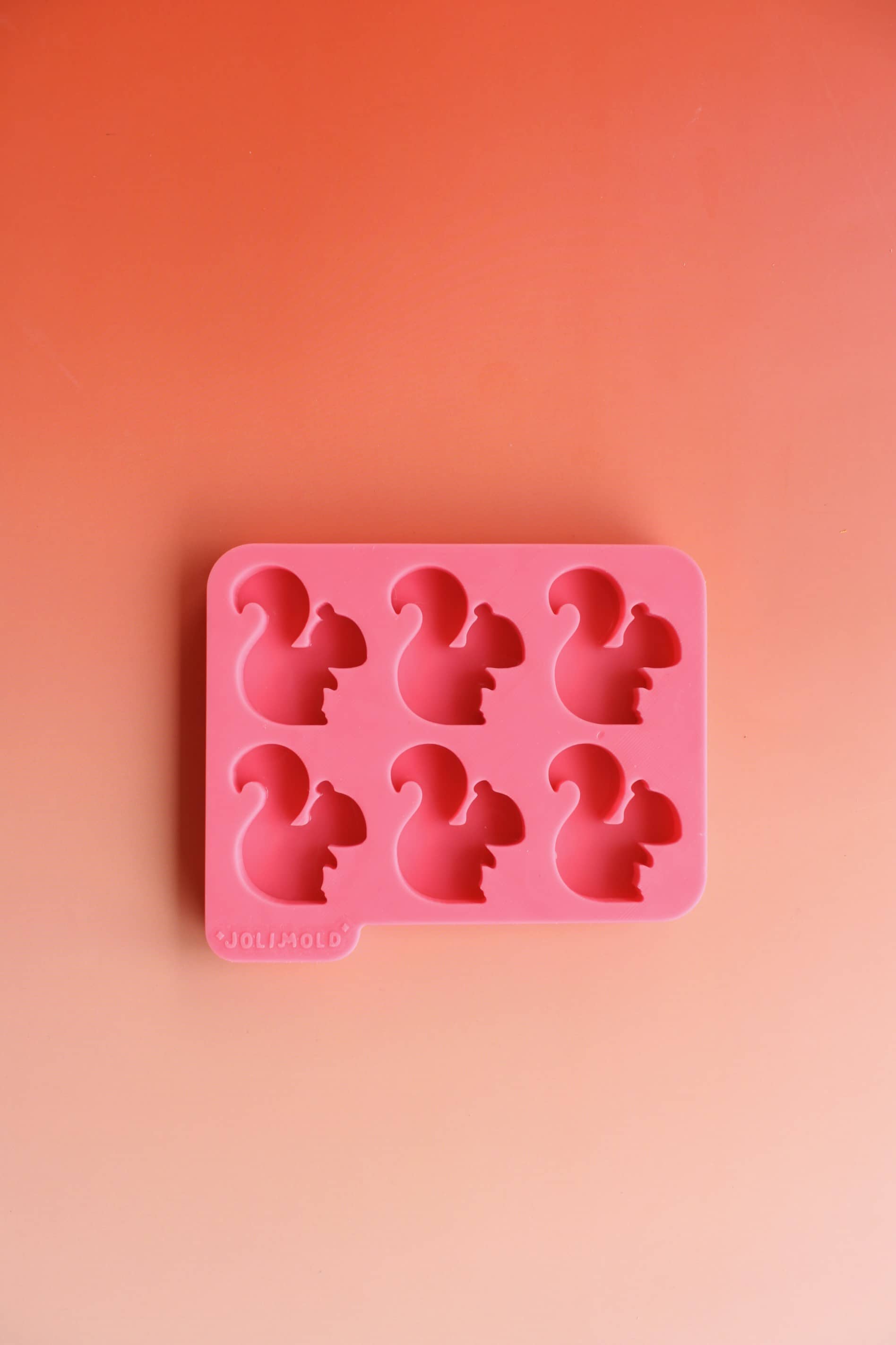 Moule silicone épais ECUREUIL