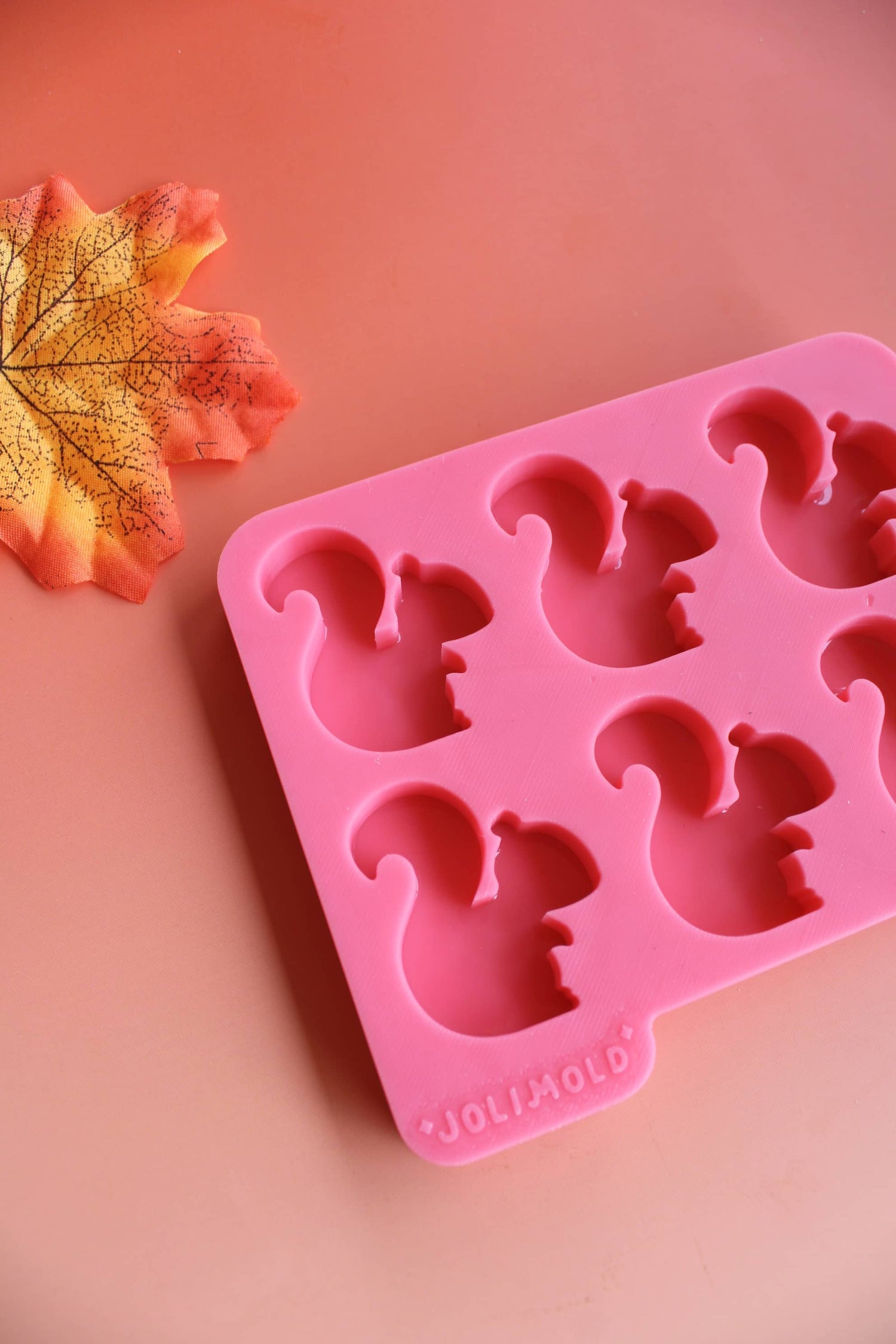 Moule silicone épais ECUREUIL