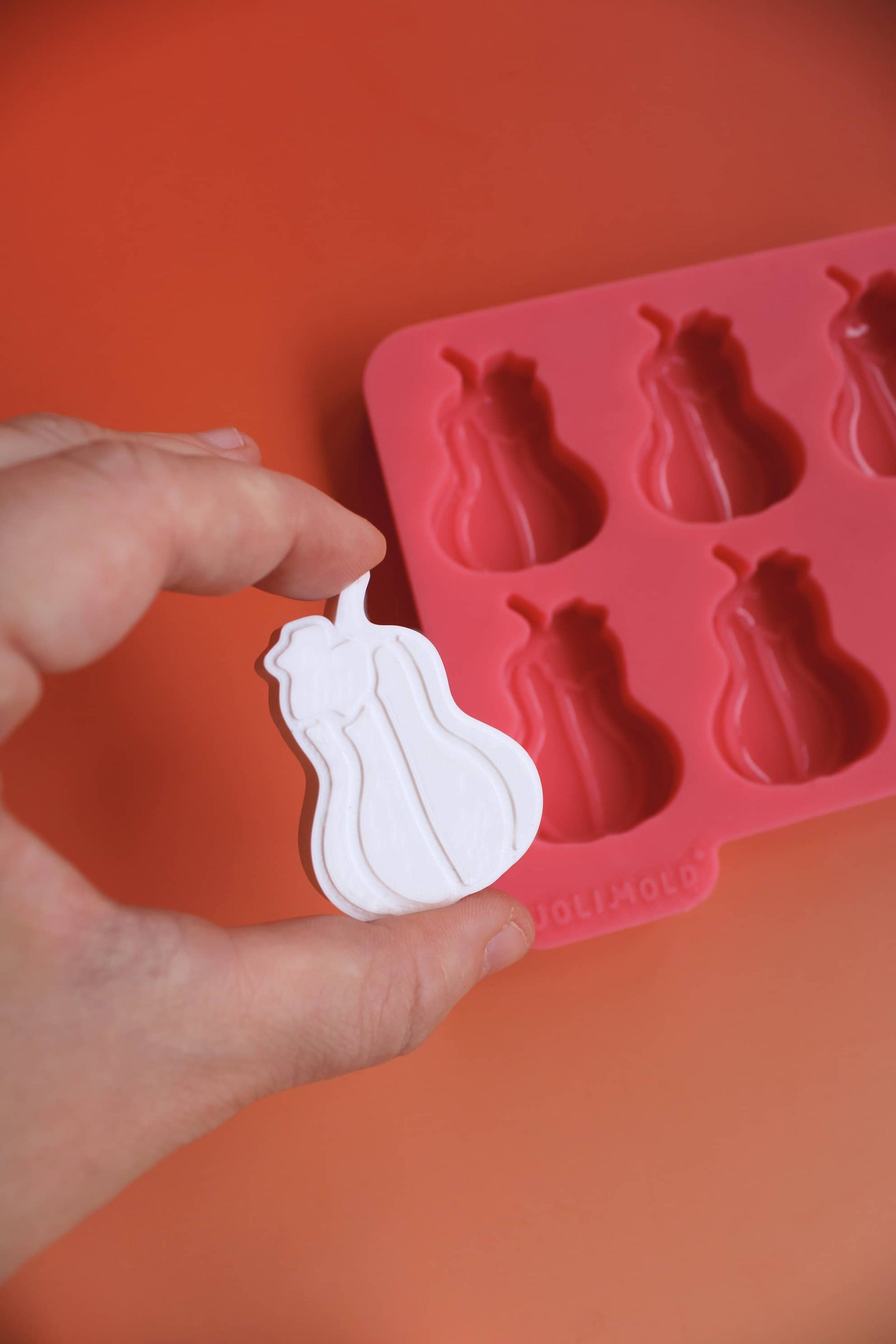 Moule silicone COURGE