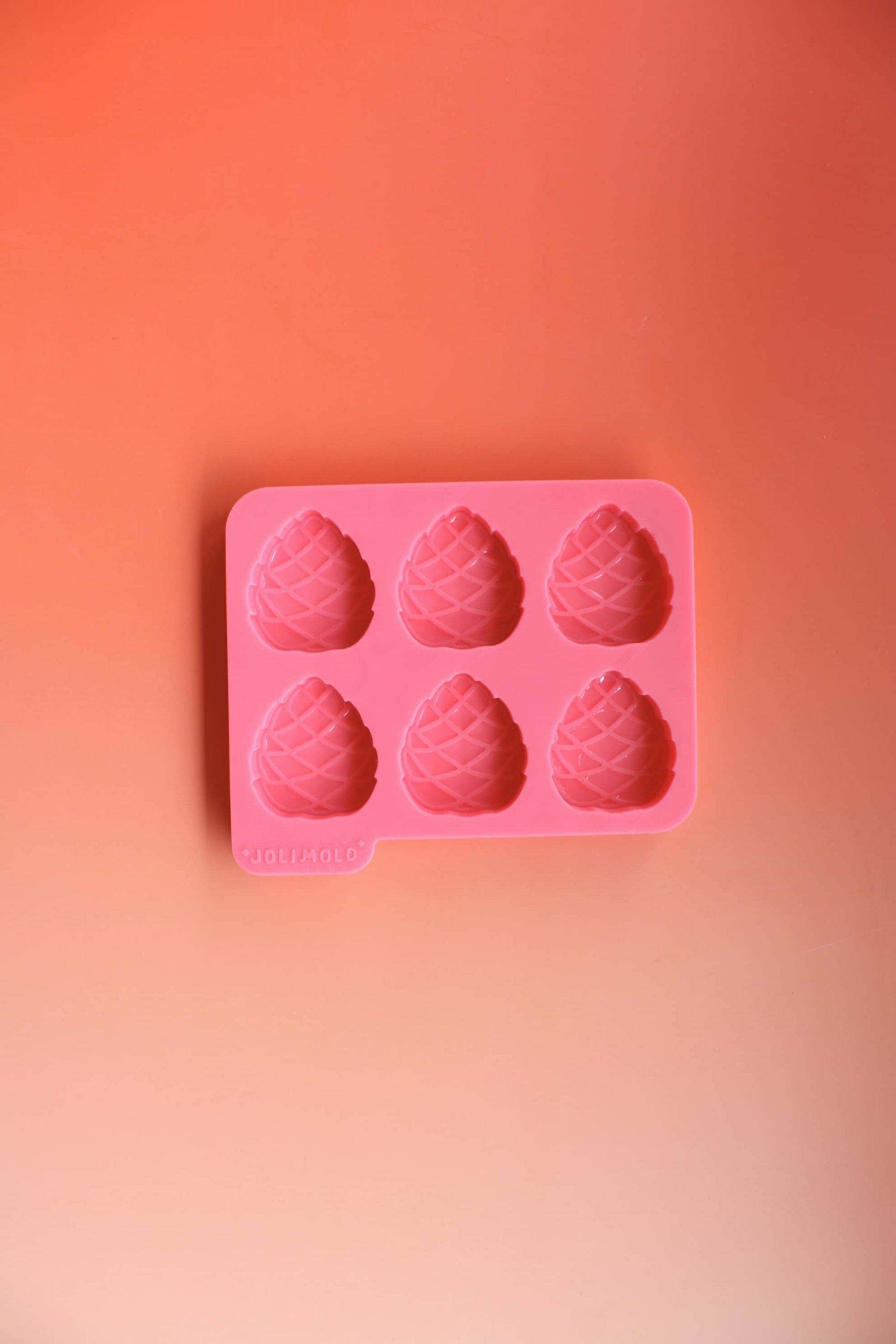 Moule silicone épais POMME DE PIN