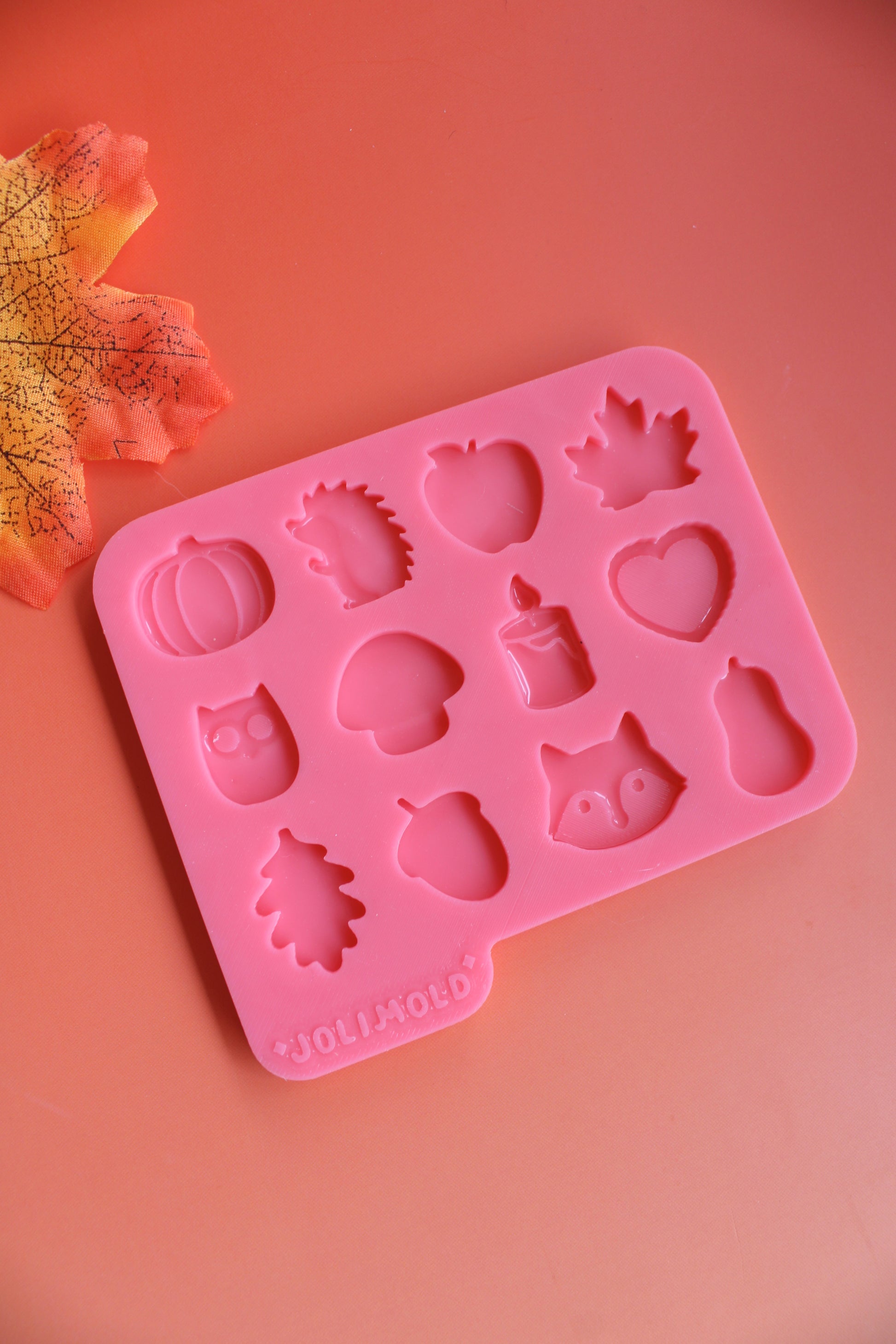 Moule silicone mini AUTOMNE 12 formes