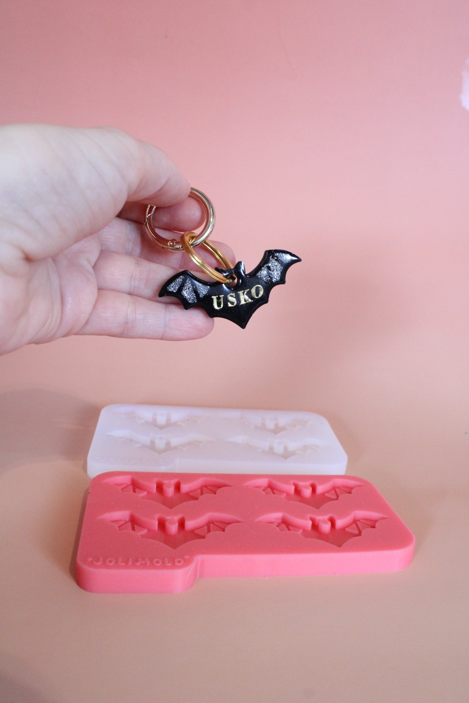 Moule silicone médaille CHAUVE-SOURIS - 4 formes