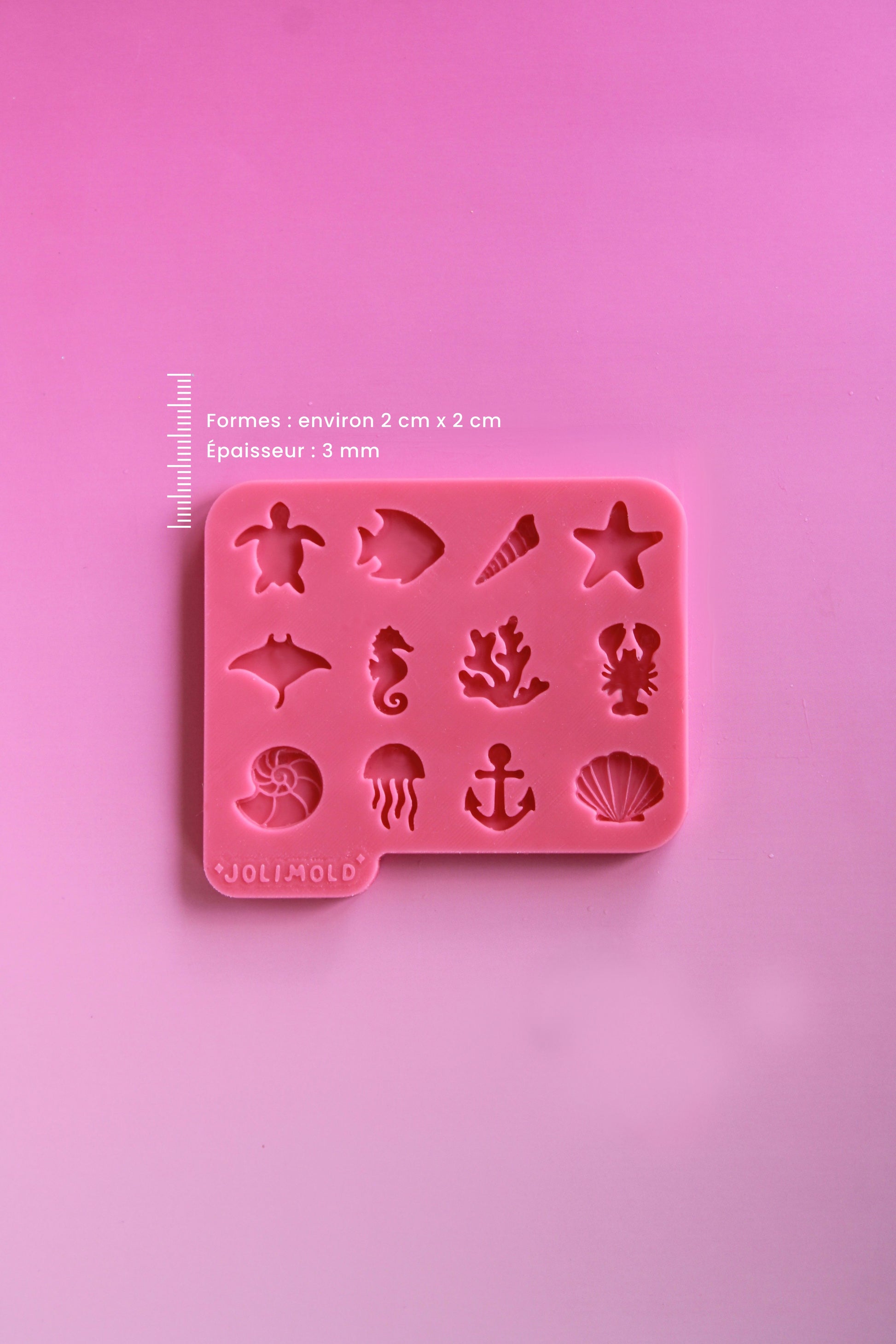 Mini Moule silicone MER - 12 formes