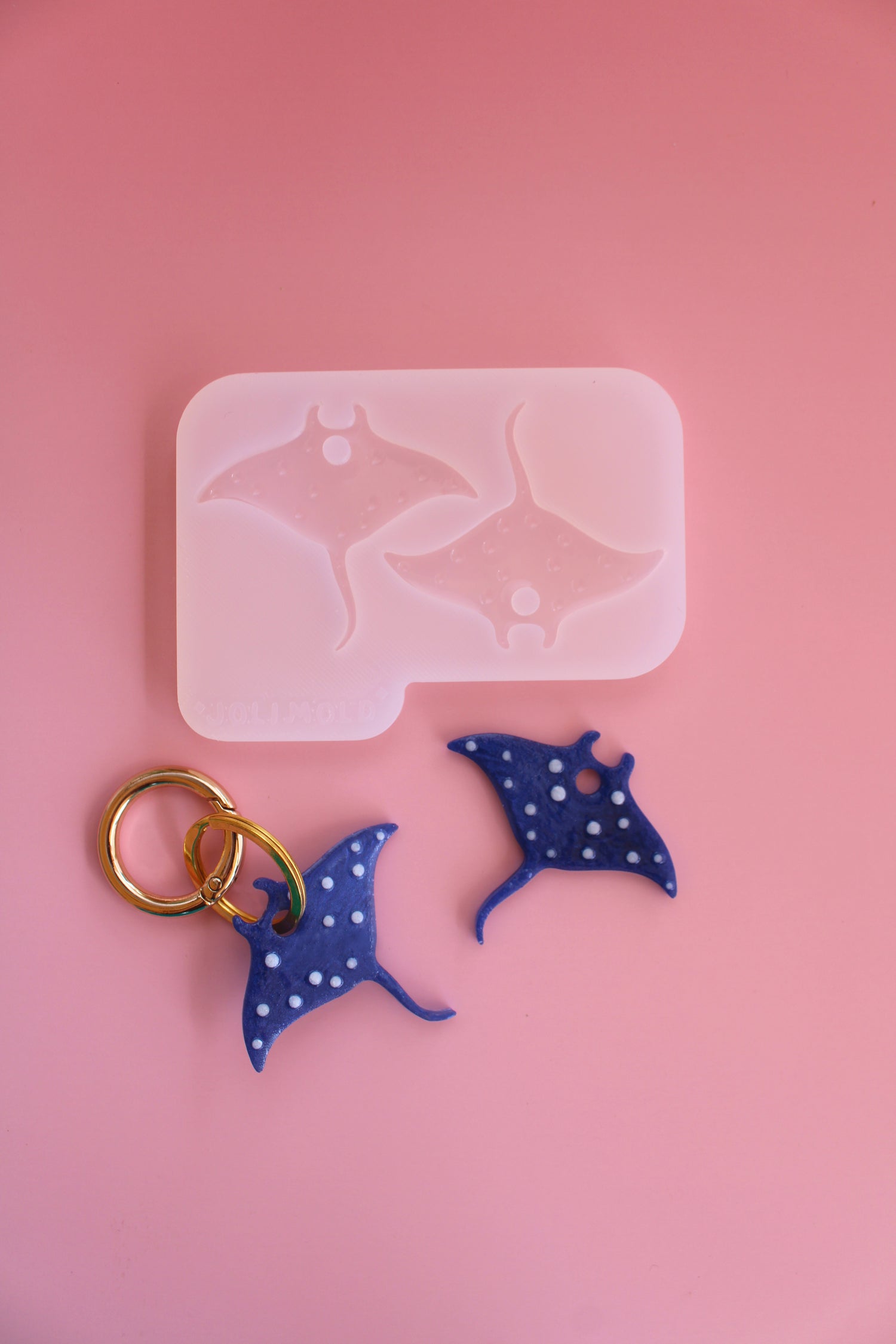 Moule silicone RAIE MANTA texturé