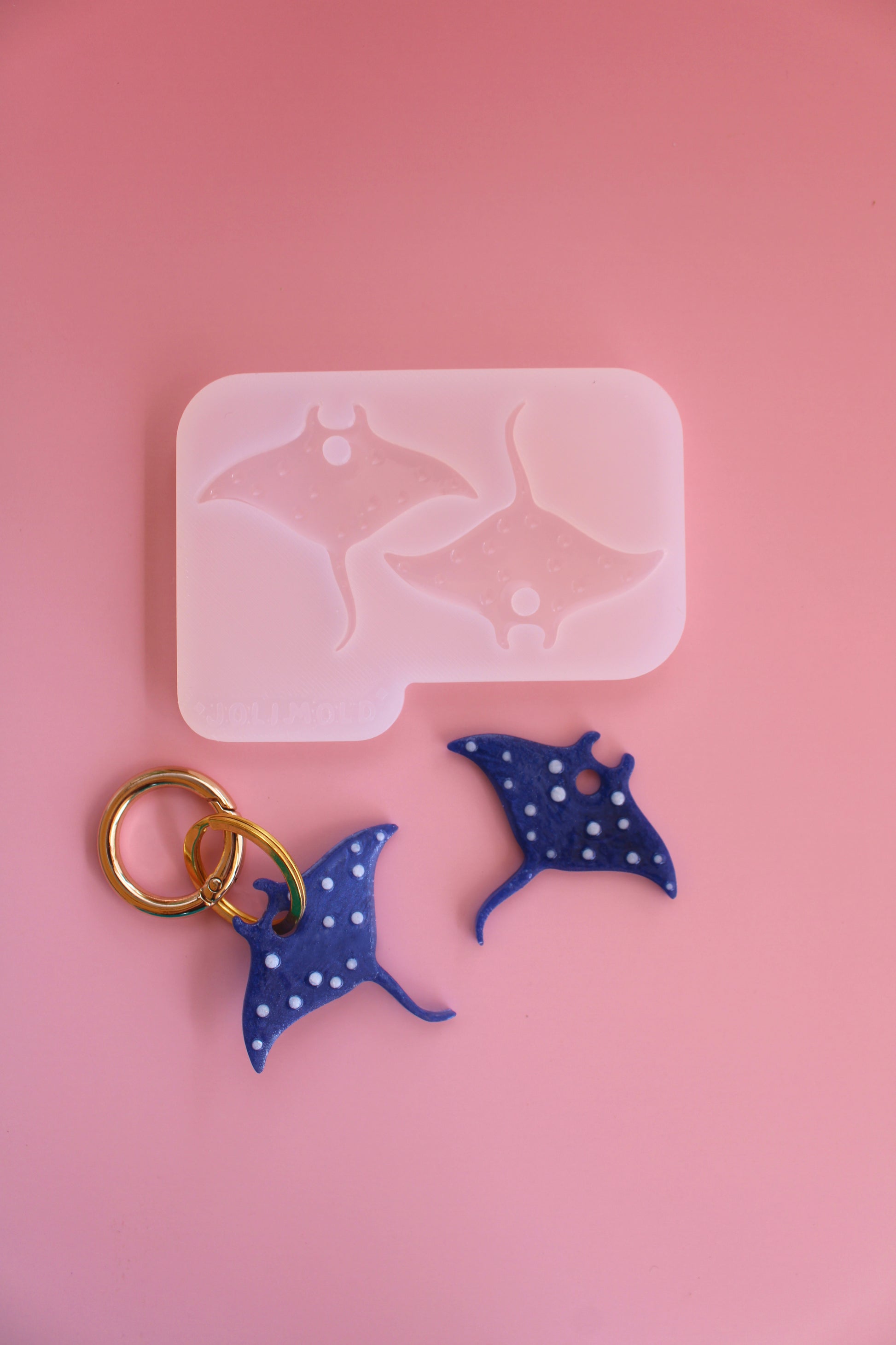 Moule silicone RAIE MANTA texturé