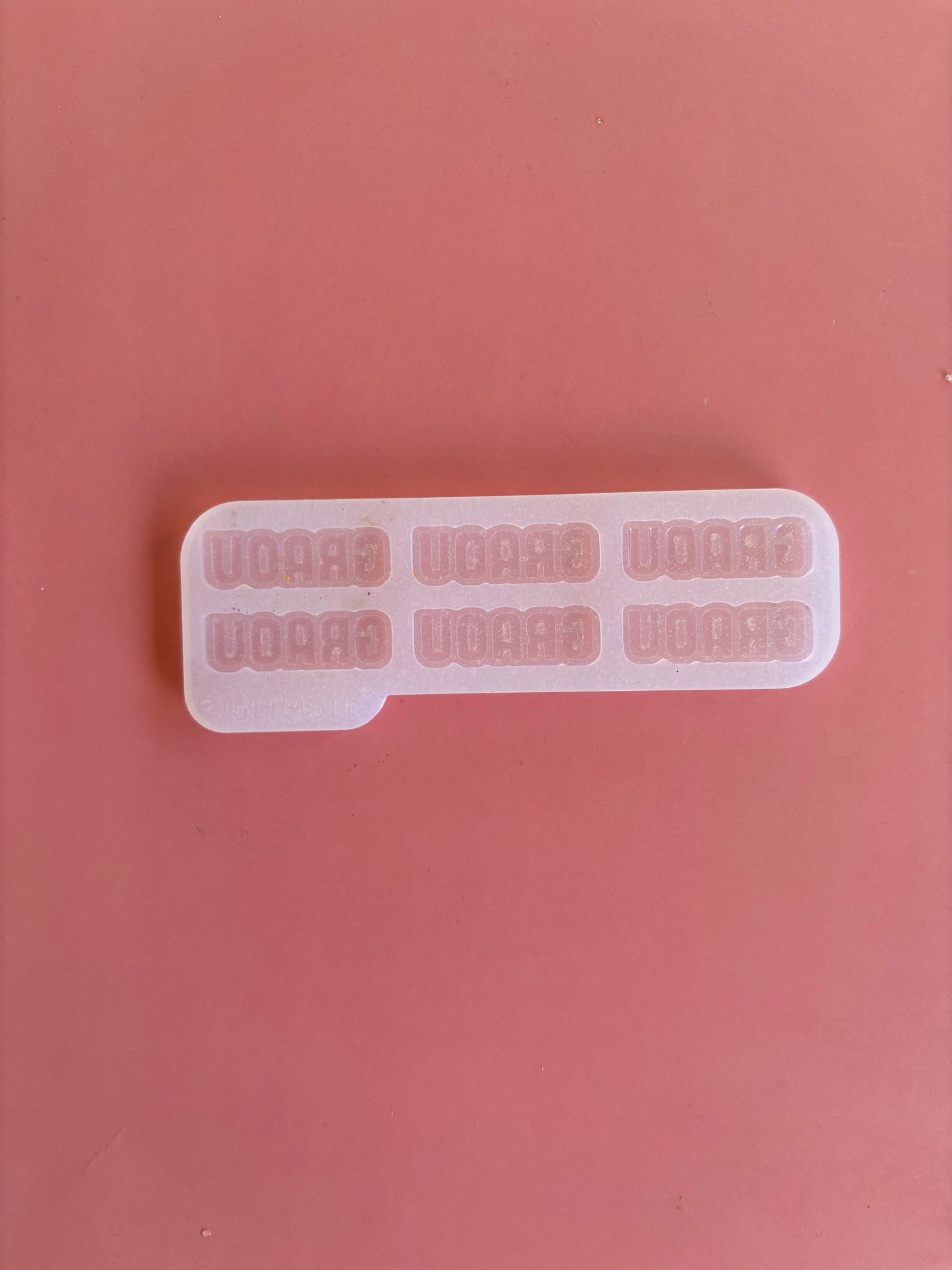 Moule silicone broche GRAOU - 6 broches