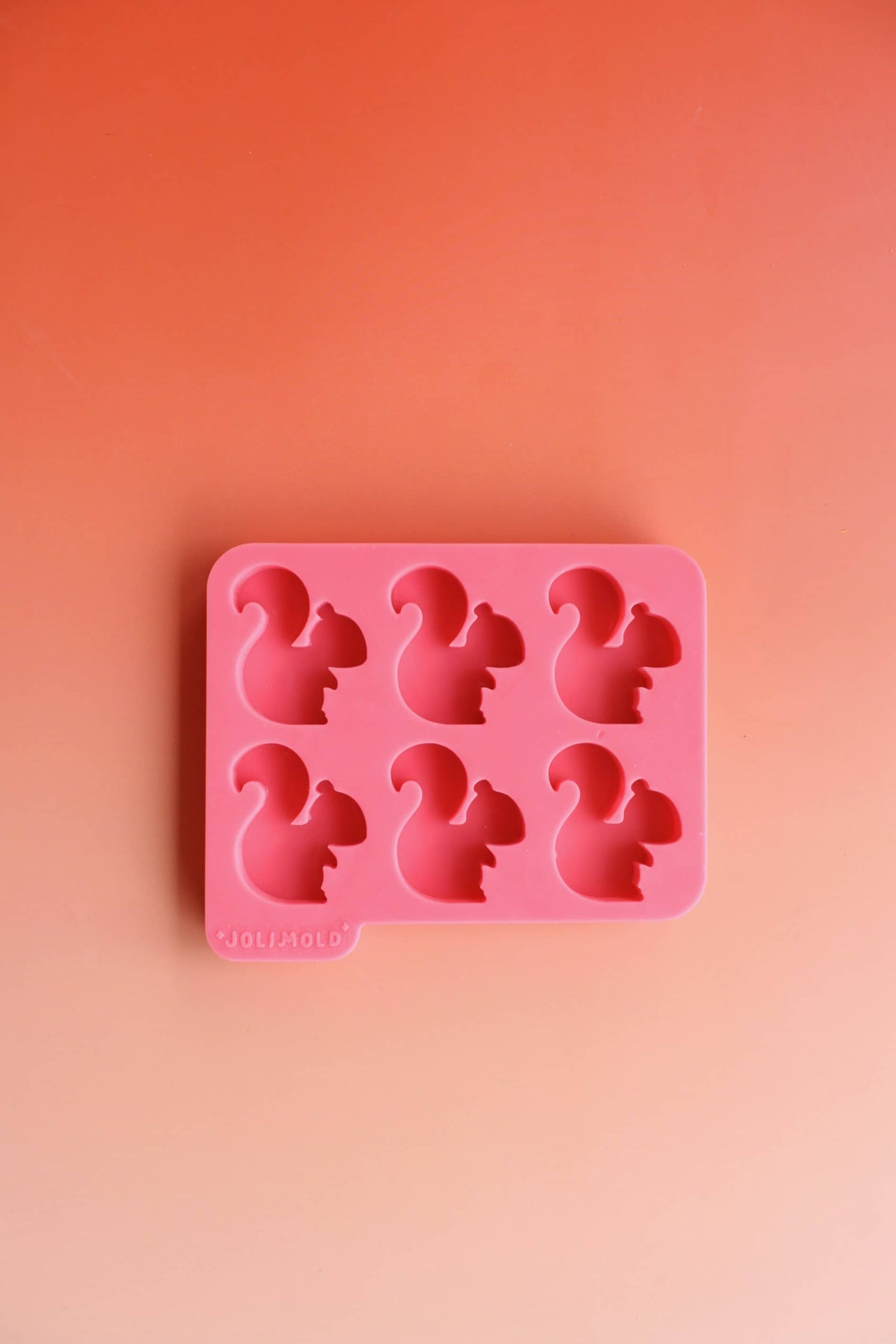 Moule silicone épais ECUREUIL