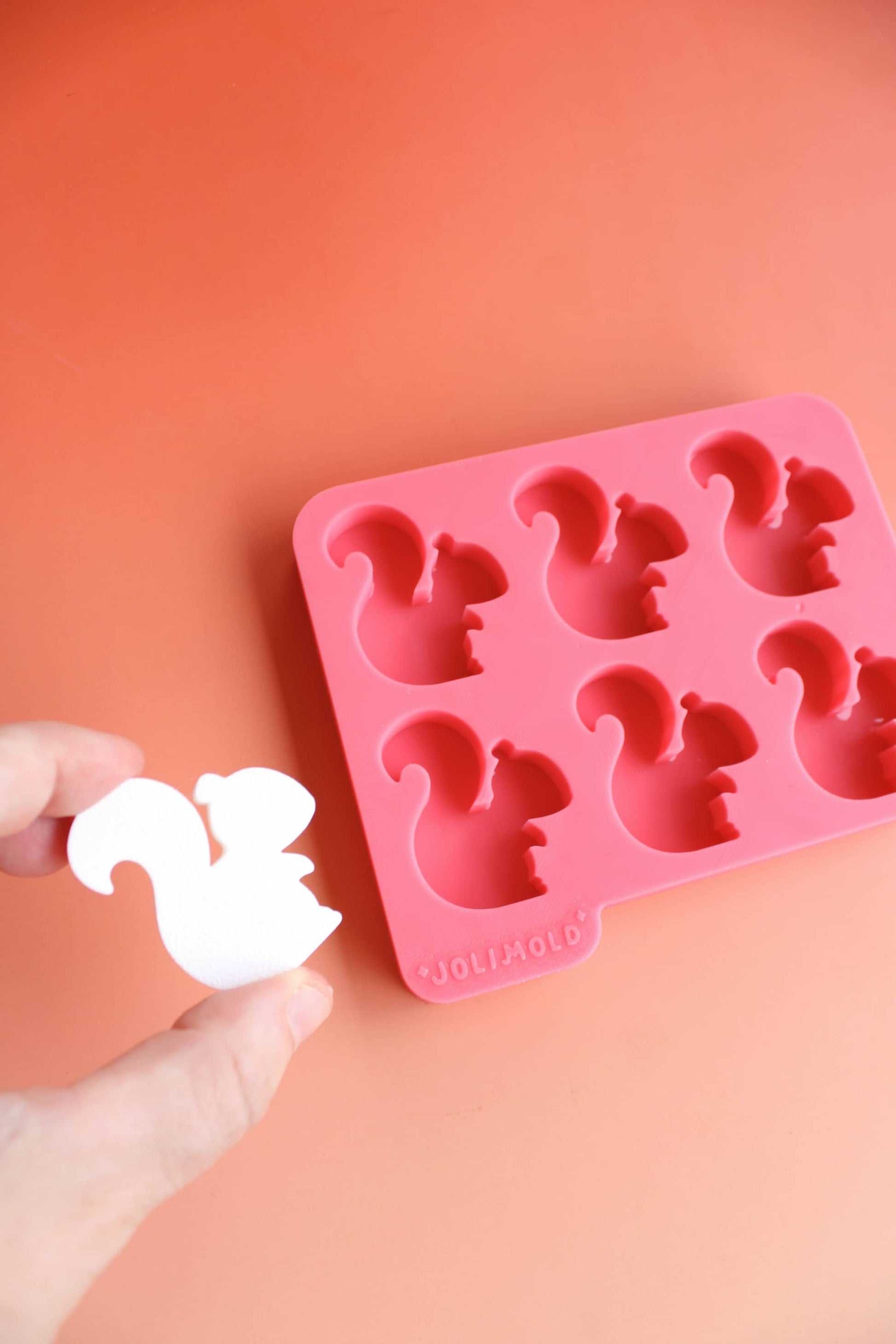 Moule silicone épais ECUREUIL