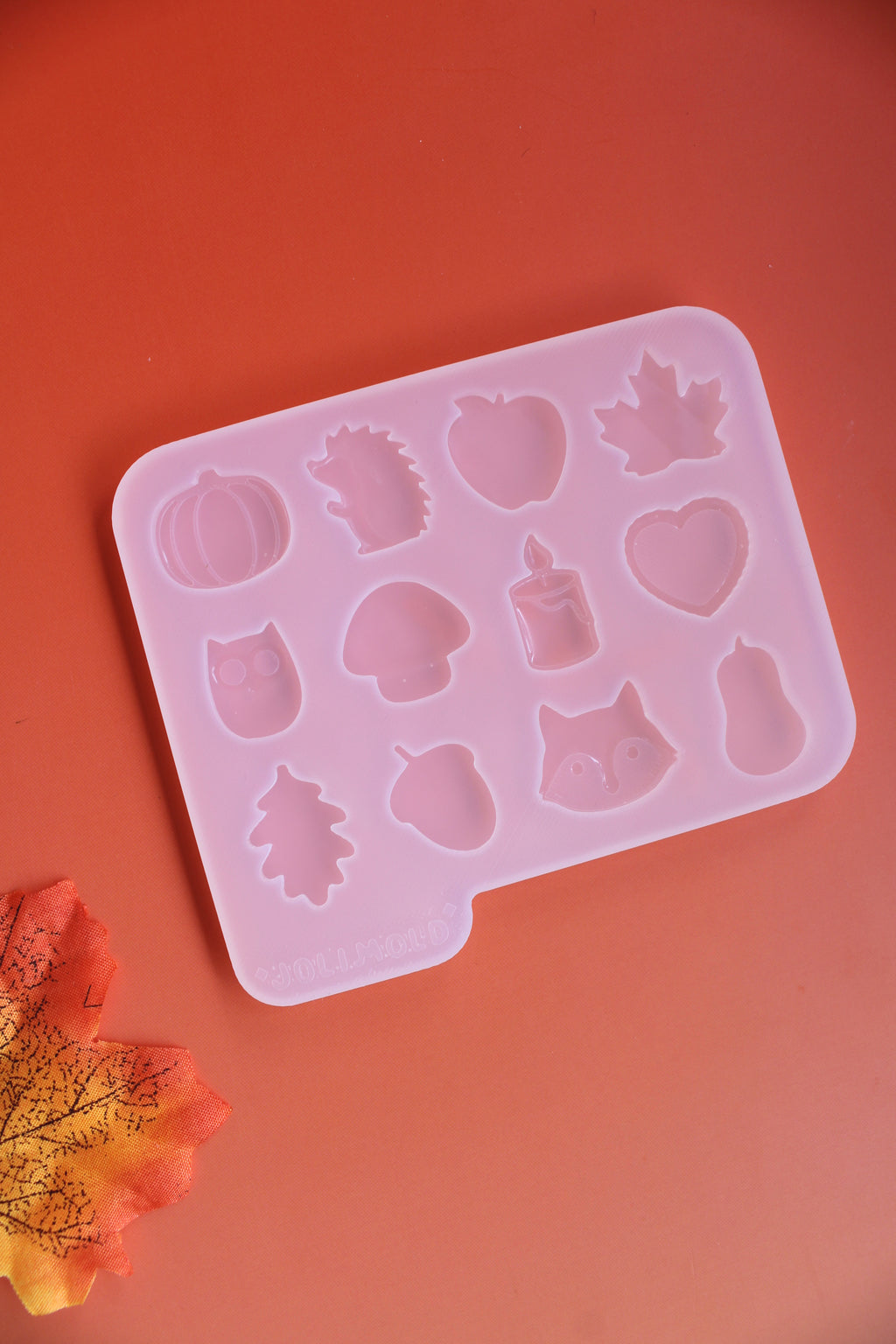 Moule silicone mini AUTOMNE 12 formes