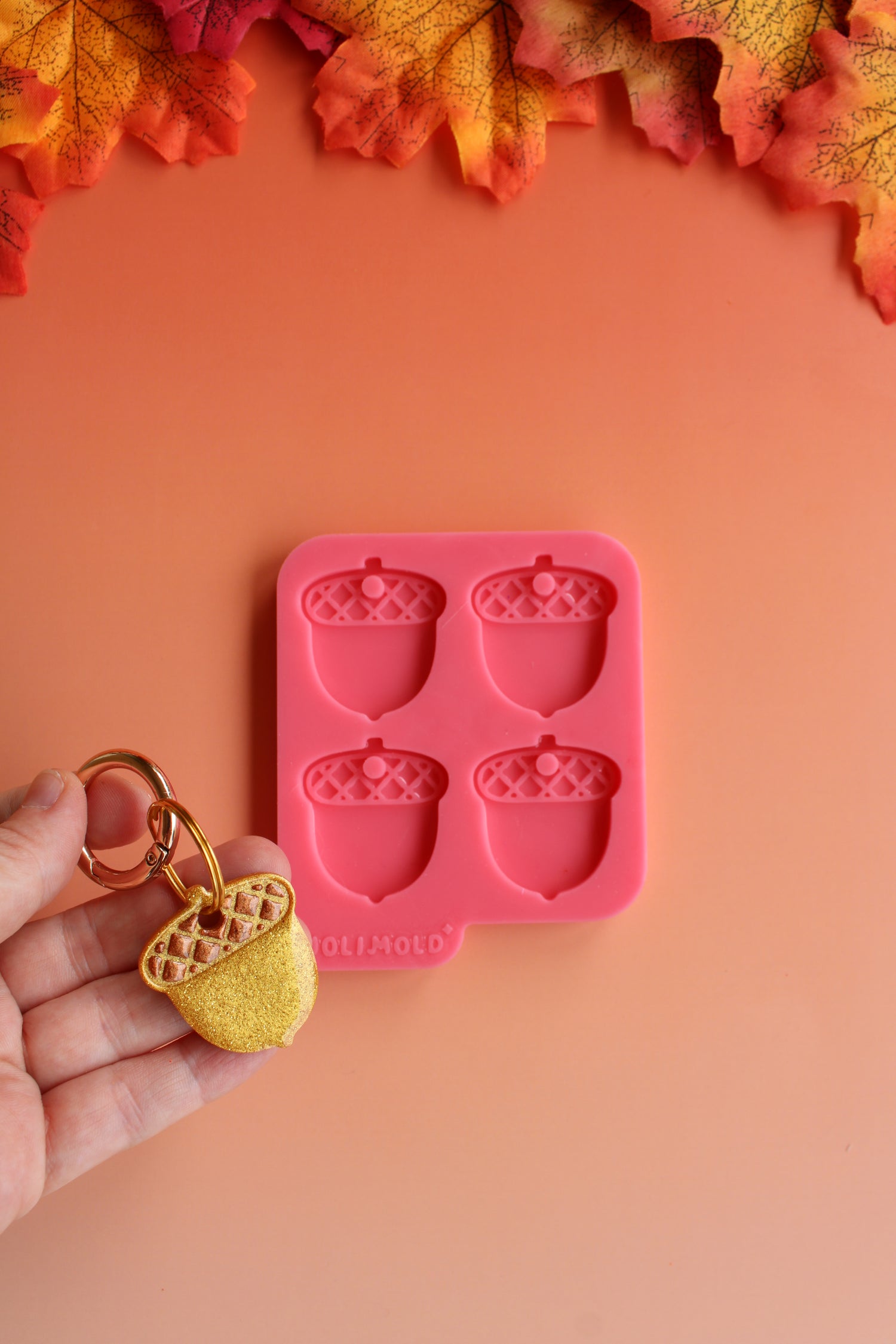 Moule silicone médaille GLAND