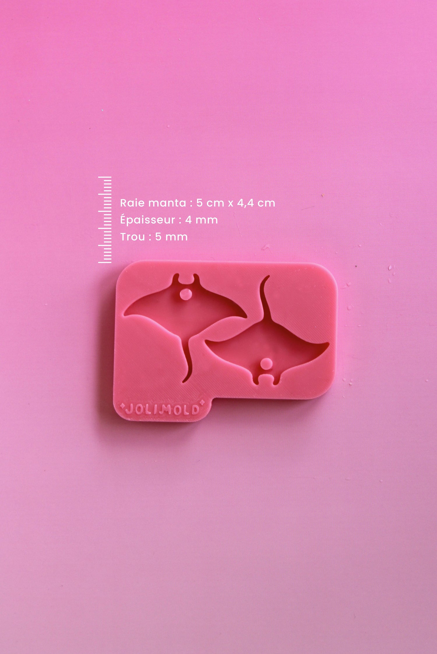 Moule silicone RAIE MANTA lisse