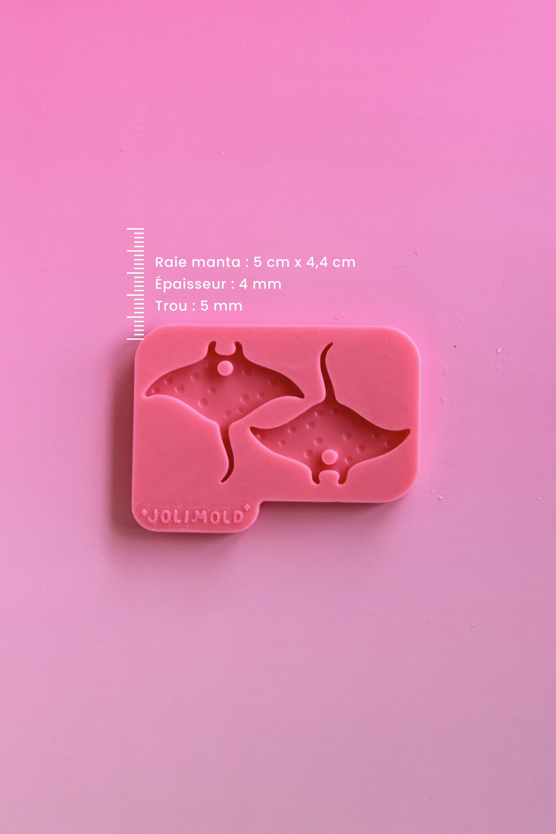 Moule silicone RAIE MANTA texturé